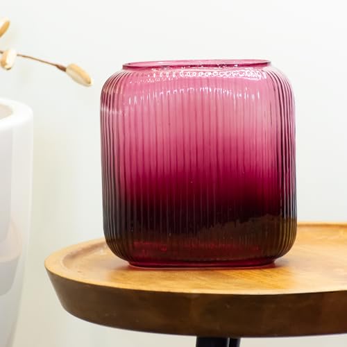 Praahi Lifestyle Decorative Oblong Ribbed Glass Vase for Flower | Paprika Pink | Real & Artificial Flower Pot for Home Decor, Office & Living Room Centerpieces| 7.2 inches | Best for Diwali Gifting