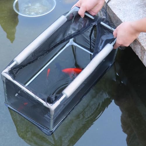 Boîte d'isolement pour protéger les crevettes et bébés poissons des prédateurs - 6