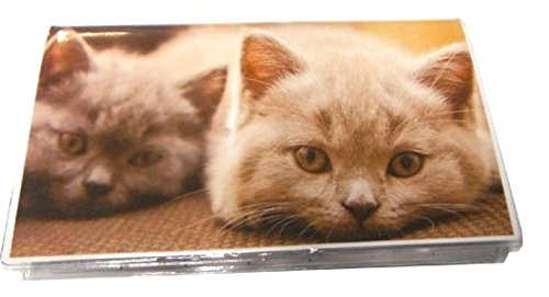 Cats Kittens 3 Year 2021 2022 2023 Pocket Planner Calendar Date Book