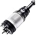 SCITOO 4Pcs Rear Air Suspension Strut Assembly Fit for 2005-2009 for Land Rover for LR3, 2010-2016 for Land Rover for LR4, 2006-2014 for Land Rover for Range Rover Sport, Replace LR013930 Strut