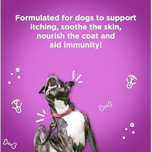 First Impressions Itch, Please! Dog Allergy Chews – Dog Allergy Relief – Stop Licking, Scratching and Chewing – Apple Cider Vinegar, Probiotics, Turmeric – Allergy Relief for Dogs Itching – 120 ct