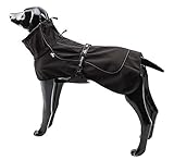 BLACKDOGGY Abrigos para Perros Impermeable Medio con Orificio para arnés, Deporte al Aire Libre de Primera Calidad, Resistente al Viento Cálido para Perros de Clima frío Chaquetas Negro Talla M