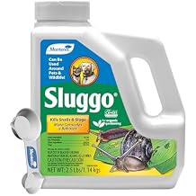 Monterey Sluggo Snail & Slug Killer Bundled with Measuring Spoon - OMRI Listed for Organic Gardening - Wildlife and Pet Friendly - 2.5 lb jug