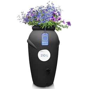 YourCasa Regentonne 210 Liter Amphore Design