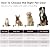 ALUMANI Cat Door for Wall, Cat Door for Interior and Exterior Wall, Pet Door with Double Magnetic Flaps, Double Lock Panels, Steel Frame and Telescoping Tunnel, Small, Coffee Color