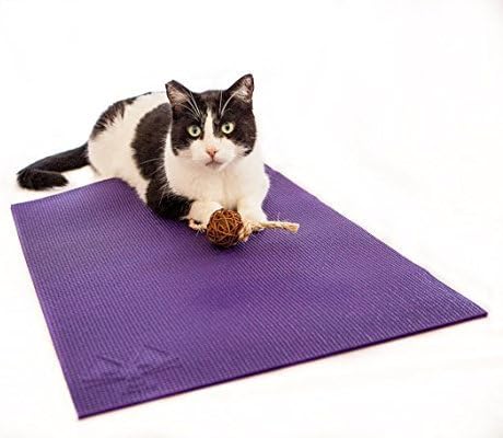 Cat Mat with Catnip Cat Toy. Cat Scratching Post, Bed, Activity Play Mat (Purple)