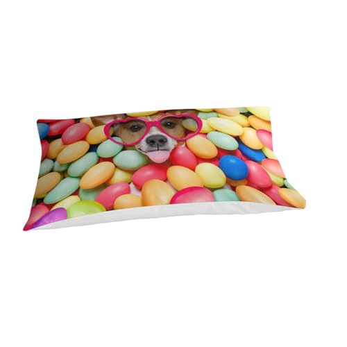 Parure de lit microfibre 3D housse de couette imprimée chien
