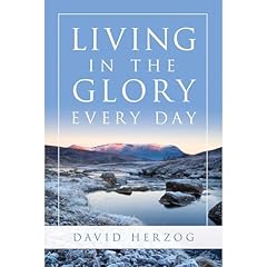 Living in the Glory Everyday Audiolibro Por David Herzog arte de portada