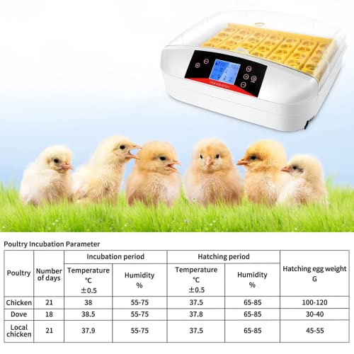 VIEWGOOD Incubatrice per Uova automatica, Girauova...