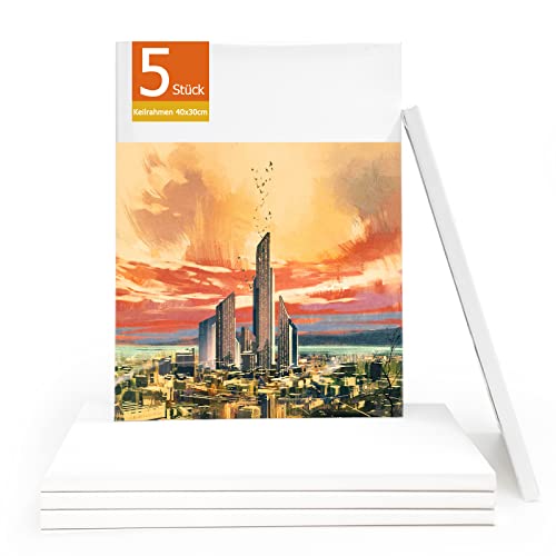 Leinwand zum Bemalen 40 x 30 cm- (5er Pack), 280 g/m² Leinwände Groß aus 100% Baumwolle, Vorgespannte Weiße Künstler Panel - Geeignet für Acryl und Öl Malerei Sowie zum Skizzieren und Zeichnen Cover