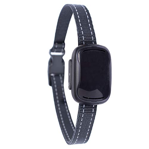 GoodBoy Small Remote Dog Training Collar GB808V Extra Replacement Receiver