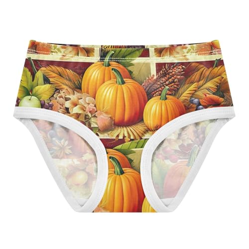 Toddler Underwear Custom 2t Cotton Girl Panties Cute Personalized Kids Briefs Undies Thanksgiving Pumpkins Fruits