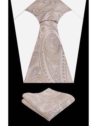 Image of Alizeal Mens 3.15'' Vintage Paisley Tie Pocket Square Set
