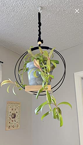 Shineloha 2 Pack Hanging Planters For Indoor Plant + Ceiling Hook | Indoor Hanging Planter Shelf, Plant Hangers Indoor, Minimalist Planter | No Plant/Pot Incld (Medium) #TOP4