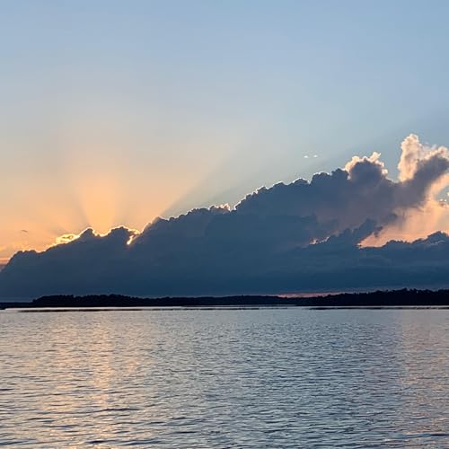 Interview with Dr. Jonathan Ellerby cover art