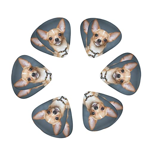 Ensemble de 12 médiators de guitare Chihuahua mignons pour guitare acoustique, guitare électrique, contrebasse, ukulélé - Les Beatles, Paul McCartney, John Lennon, RIngo Starr, George Harrison Ensemble de 12 médiators de guitare Chihuahua mignons pour guitare acoustique, guitare électrique, contrebasse, ukulélé – Image 3