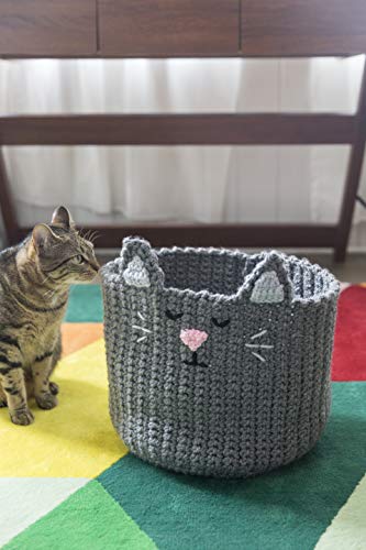 Image of RED HEART Super Saver Yarn, Pooling - Stillwater, 9.5 x 3.5 x 3.5