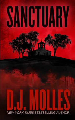 Cover of Sanctuary