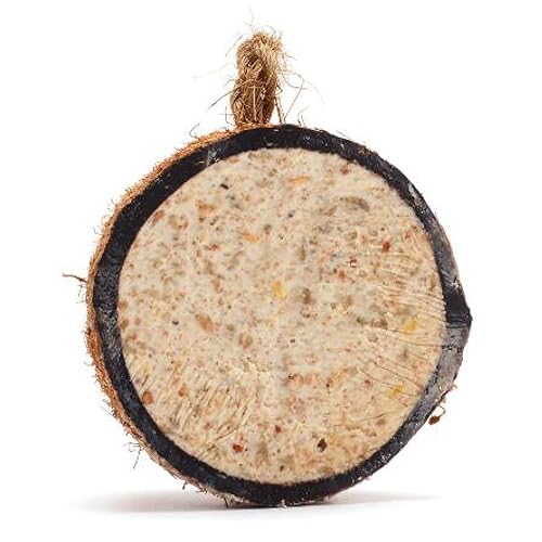 Coconut Bird Feeder Halves, Wild Bird Food for Small Birds with Suet, Dried Mealworms, Seeds, and Cereals, High Energy Food, Filled in the UK, Suitable for Year-Round Feeding – RSPB