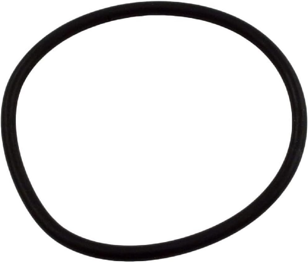 WaterwayPlastics Swimming Pool Filter Collar O-Ring 805-0435B for WVS003 Valve Same as 805-0435