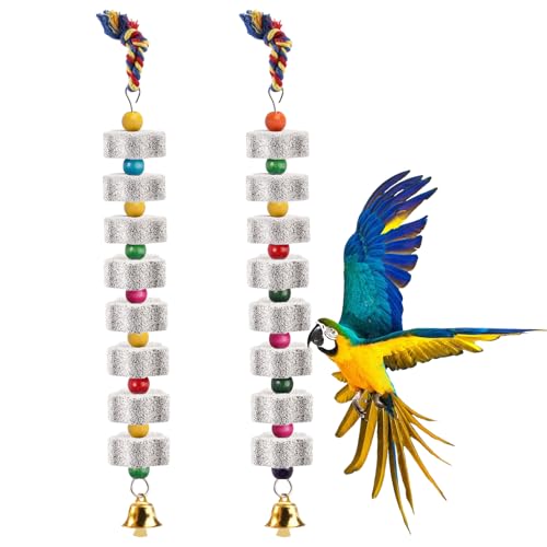 Zyren 2 Pièces Jouet à Mâcher pour Oiseaux, Pierres Bec D'Oiseau, Pierre de Dentition pour Perroquets, Bec de Perroquet avec Clochette, Jouet Perroquet, Accessoire...