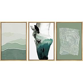 SIGNWIN Framed Canvas Print Wall Art Double Exposure...