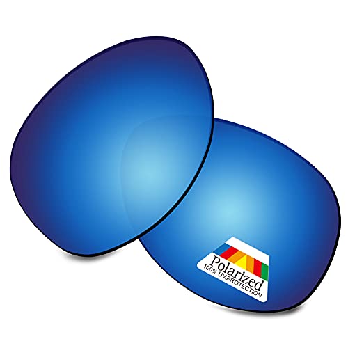 Verres Oakley Given polarisés Bwake lentilles solaires de rechange