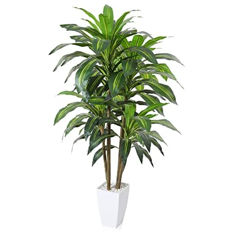 OAKRED Artificial Plants,4FT Dracaena Tree Faux Plants with White Taper Planter,Tall Fake Plant for Indoor,Fake Tree for Home Decor Office Living Room Porch Cover
