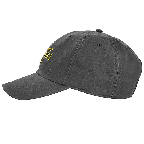 Popfunk Official Harry Potter Hogwarts Alumni Dad Hat miniatura 3
