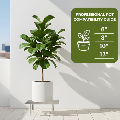 Image of Dolin Decor Plant Stand for Outdoor Balcony Heavy Duty Stainless Steel Flower Pot Holder for Indoor Living Room Garden Use Rustproof 80kg Capacity Gamla Stand (Silver, Set of 1) 12x9x4 Inch