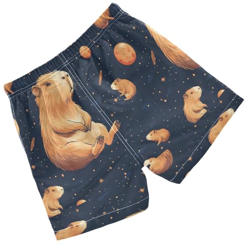 Pigsaly Boys' Swim Board Shorts Capybara Space Moon Boy's Swim Trunks Kids Swimwear 2T Multicolor2