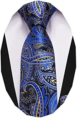 Dubulle Boys Blue Paisely Ties with Pocket Square Handkerchief Kids Necktie Age 8-10