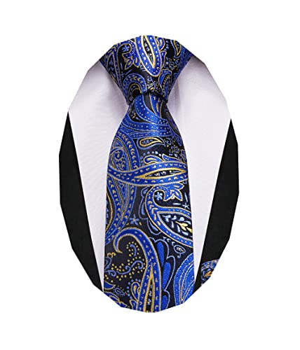Dubulle Boys Blue Paisely Ties With Pocket Square Handkerchief Kids Necktie Age 8-10 #TOP2