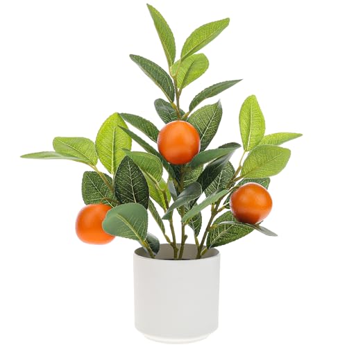 Woration Künstliche orangefarbene Pflanze im Topf 35 cm Kleiner Künstlicher Obst Orangenbaum Bonsai mit schwarzem Topf Tischdekoration Heim Schreibtischregal Dekoration Woration Künstliche orangefarbene Pflanze im Topf 35 cm Kleiner Künstlicher Obst Orangenbaum Bonsai mit schwarzem Topf Tischdekoration Heim Schreibtischregal Dekoration
