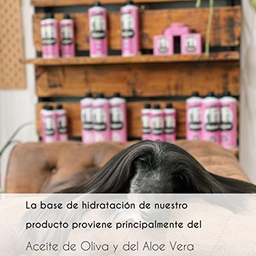 Miniatura 4 de Petuxe Mascarilla Para Mascotas. Mascarilla Vegana Perros. Mascarilla Gatos. Todas Las Razas. Todo Tipo De Pelo. Hidratación Y Brillo. Con Aloe Vera - 1000 Ml