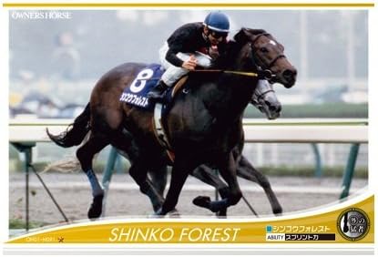 Amazon Co Jp ｵｰﾅｰｽﾞﾎｰｽ Owners Horse シンコウフォレスト Oh01 H091 ホビー 通販