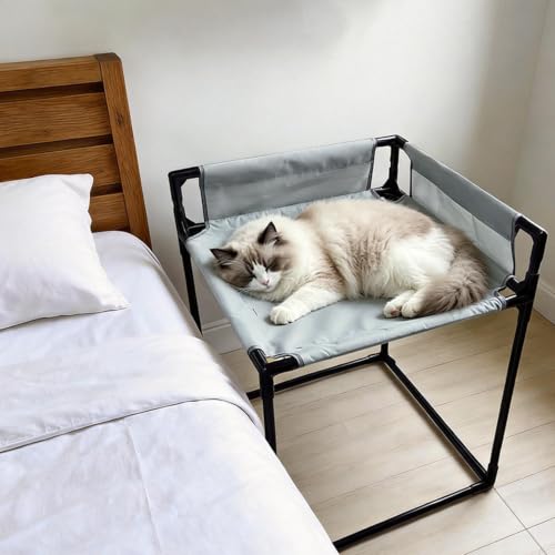 Cama elevada para gato con barandas de seguridad lavables de interior 3