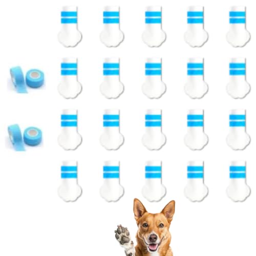 ĝČpu[cA20s[XASof[W[2tAیCJo[A&LpA߉\AhA~߁A&Op(~fBA)