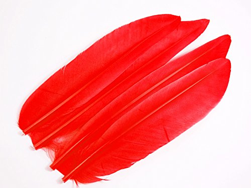 O[XNC 4{ [024-Qu-03] bh/tC}eA H H ޗ ނ ѐj  ^CCO p[c