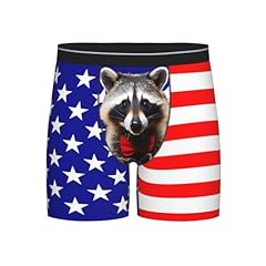 Raccoon Amercian Flag