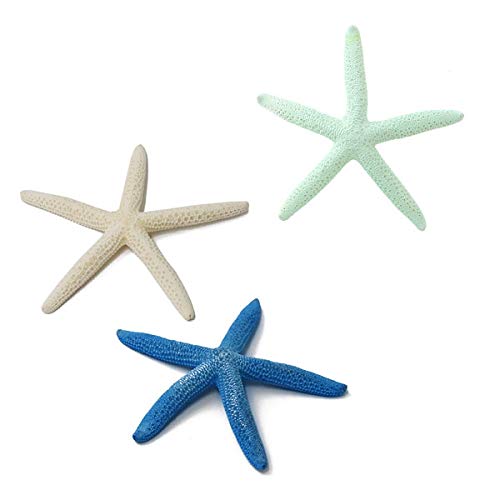 Amazon.co.jp: スターフィッシュ ヒトデ おまかせ×3個 マリン  