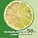 Dehydrated Lime Slices 16 oz / 1 lb / 454g Bulk - Cocktail Garnish, Baking, Cooking, Tea, Crafts | All-Natural Dried Fruit for Drinks, Potpourri & Decor