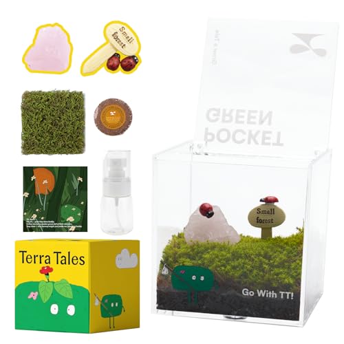 DIY Moss Terrarium Kit, 4 * 4 * 4 inch