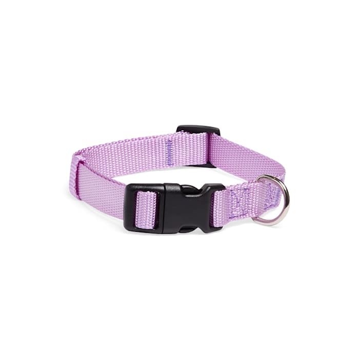 Collar ajustable para perro grande color lavanda