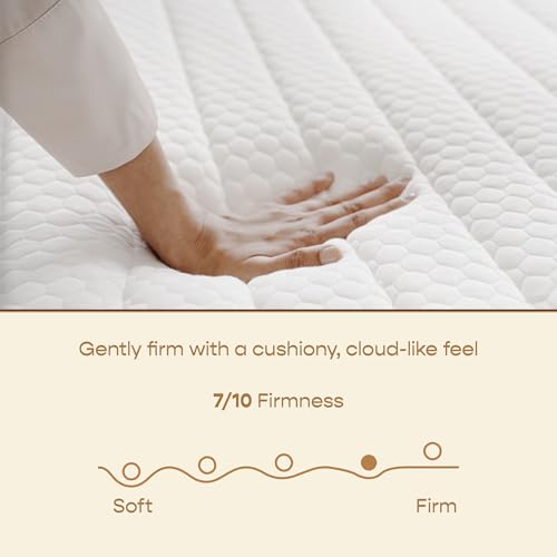 SleepyCat Cloud Mattress | Hotel-Like Quilted EuroTop with Memory Foam & Latex | No-Motion Transfer Pocket Spring | Pressure Relief & Luxurious Feel | King Size (72x72x8 Inches)