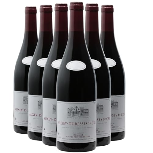 Auxey-Duresses 1er Cru Tinto 2022 – Pinot Noir de Borgoña | Domaine Michel Prunier Auxey-Duresses 1er Cru Tinto 2022 – Pinot Noir de Borgoña | Domaine Michel Prunier