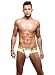 Andrew Christian Men's Trophy Boy Brief with Show-It