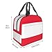 bmnaswt Austrian Flag Print Insulated Lunch Bag for Women and Men, Reusable Lunch Box for Work Picnic