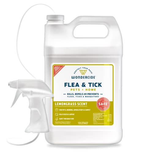 holistic flea control