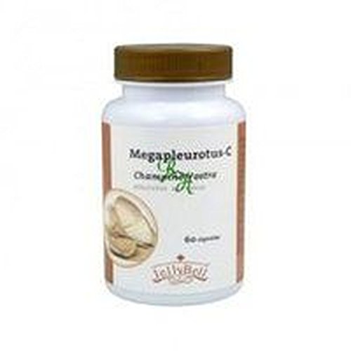 Megapleurotus C (Champiñon Ostra) 60 Cápsulas De Jellybell